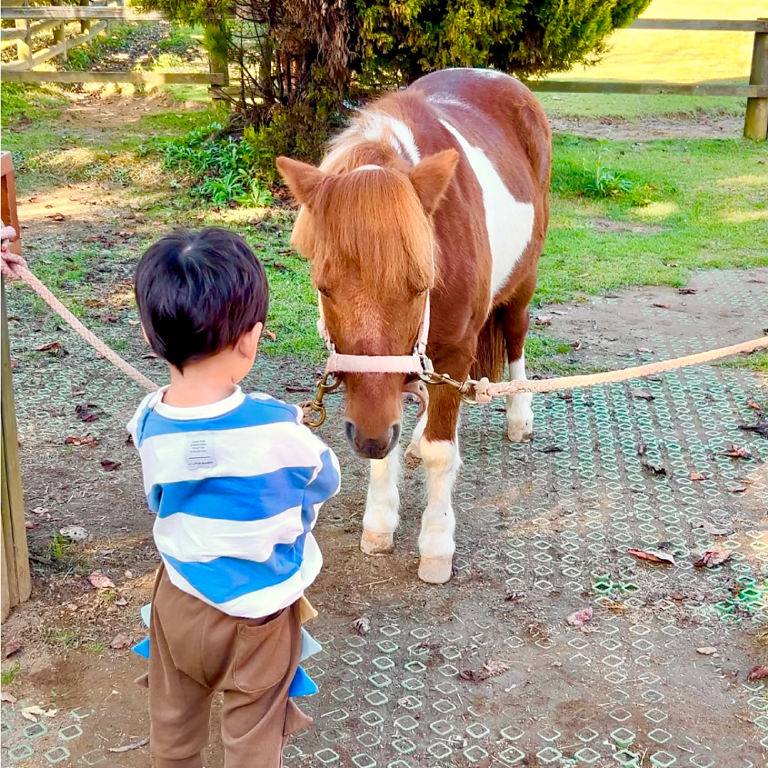 うだアニマルパーク
